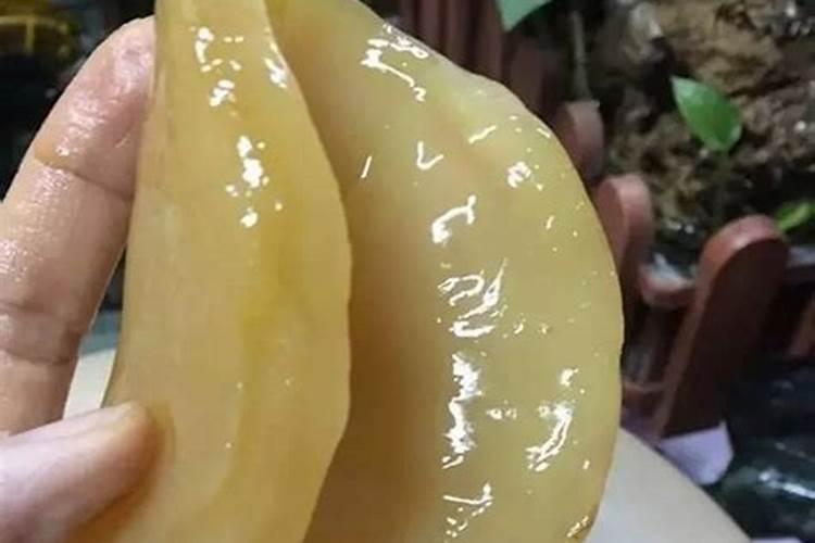 鱼蛋白自制配方