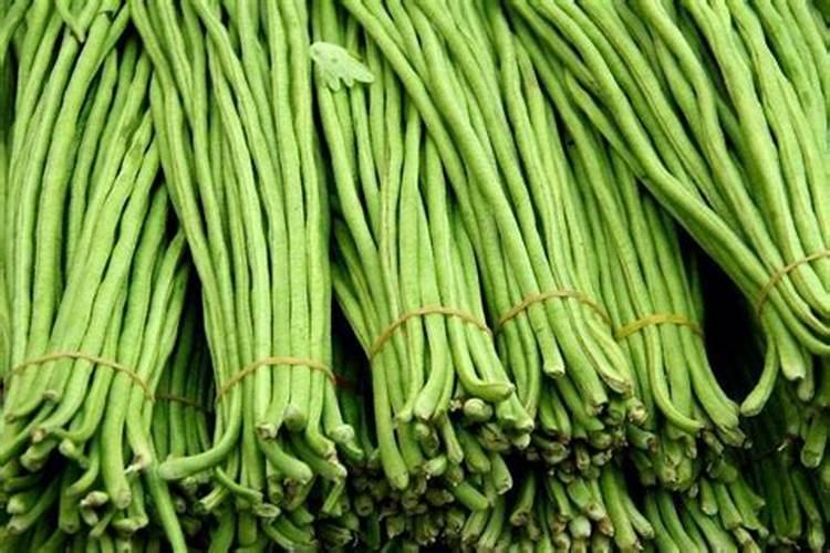豆角用什么含量的肥料较好