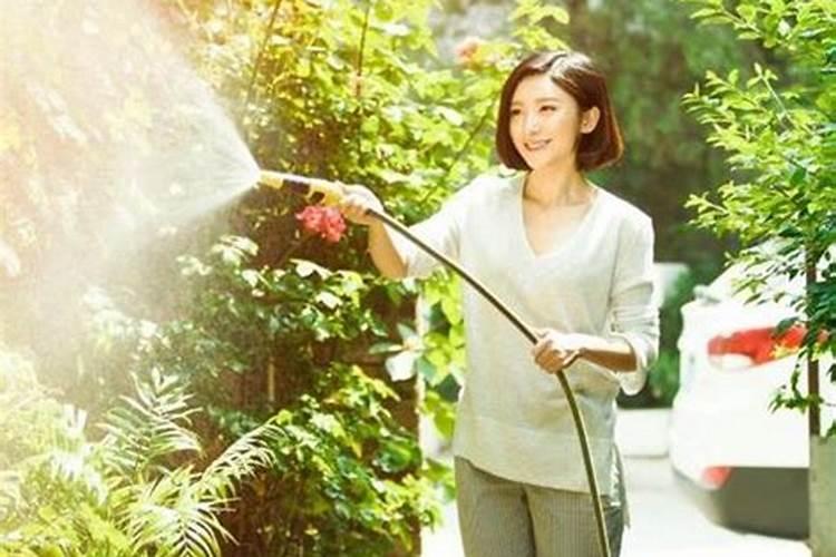 磷肥可以兑水浇花吗 磷肥对花卉的作用是什么
