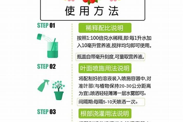 大花香水月季花期施肥技术要求有哪些？