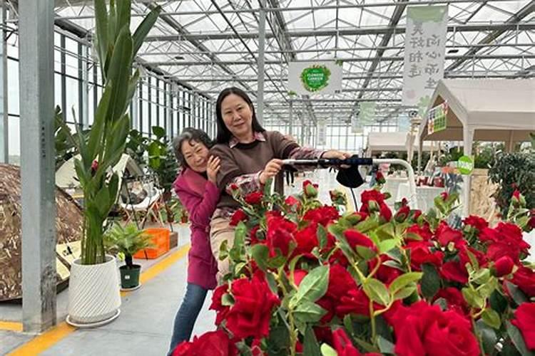 牡丹萌芽了什么时候施肥,用什么肥