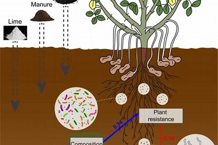 关于胶冻样芽孢杆菌这里一定有你想知道的