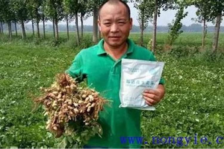 水溶肥执行标准是什么？