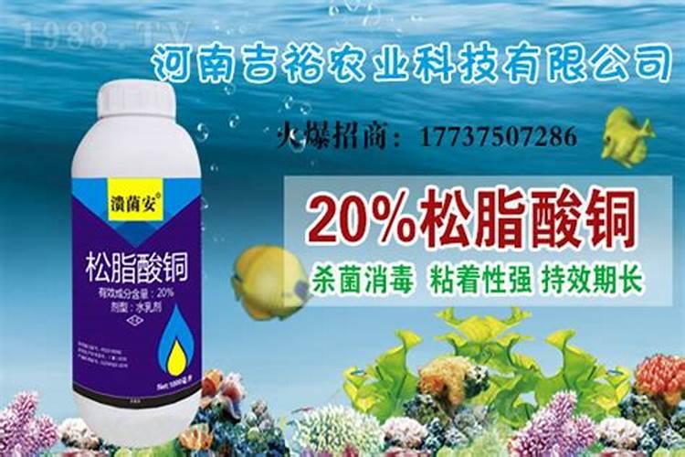 泥鳅怎么养