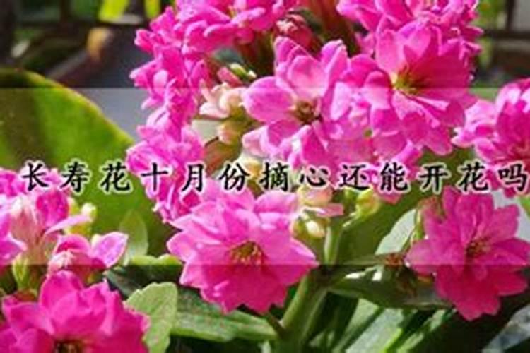 葡萄采果后的水肥管理技巧介绍