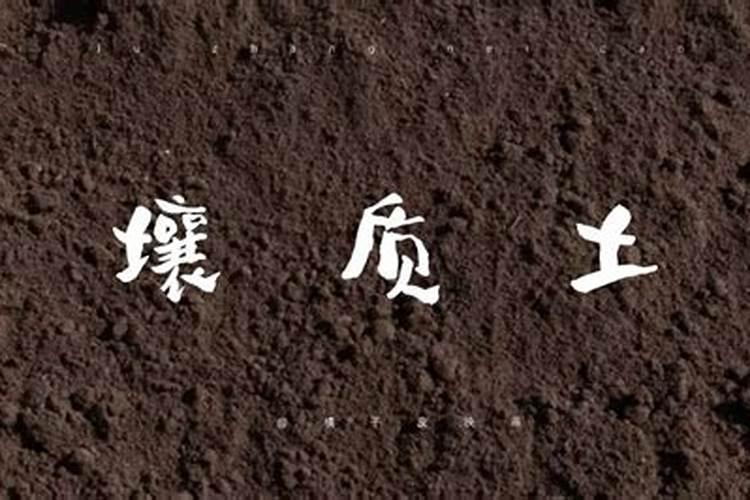 磷肥怎样使用才是正确