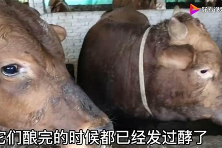1斤尿素等于多少个氮肥
