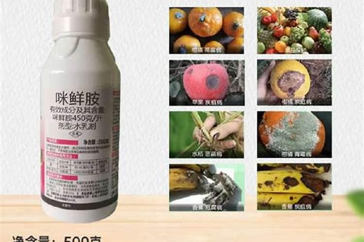 排名前十的微生物菌肥