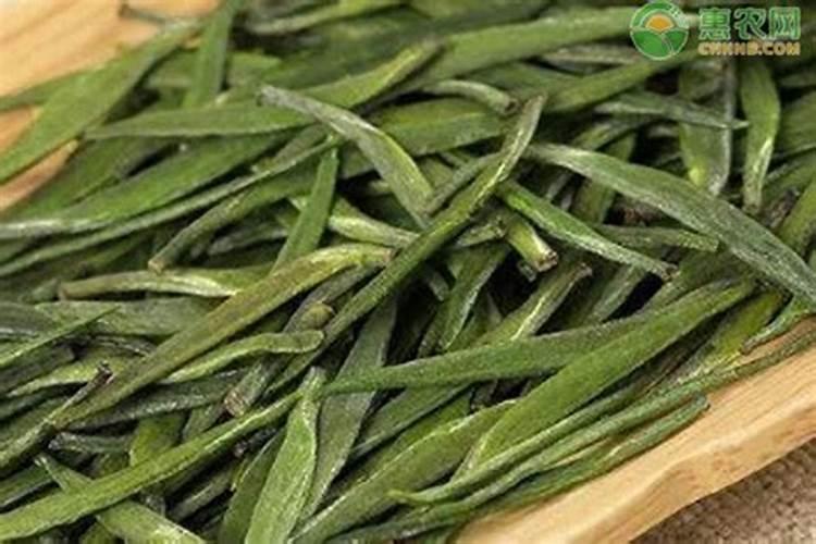 棉花叶片卷是什么原因