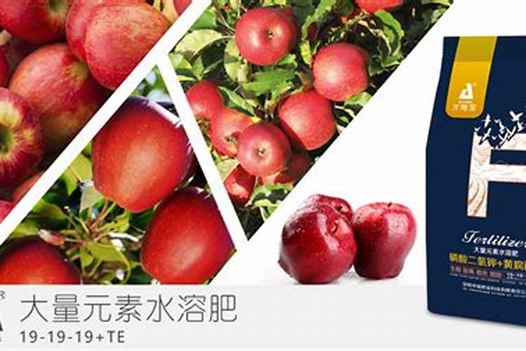 水溶性肥料市场研究报告