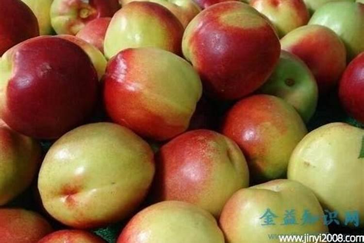 油桃种植用什么肥料可使果实更硬更甜