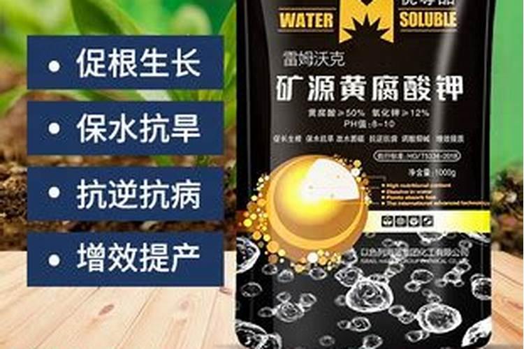 以色列最好的水溶肥是哪家