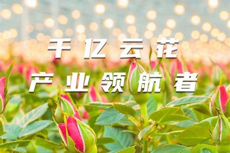 油菜籽一亩用多少化肥花卉百科