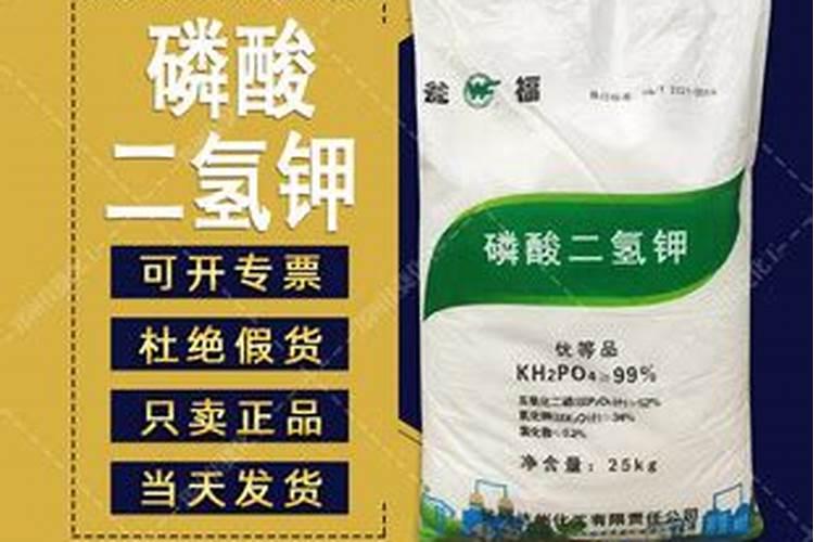 大姜冲施大量元素水溶肥几天能见效果？