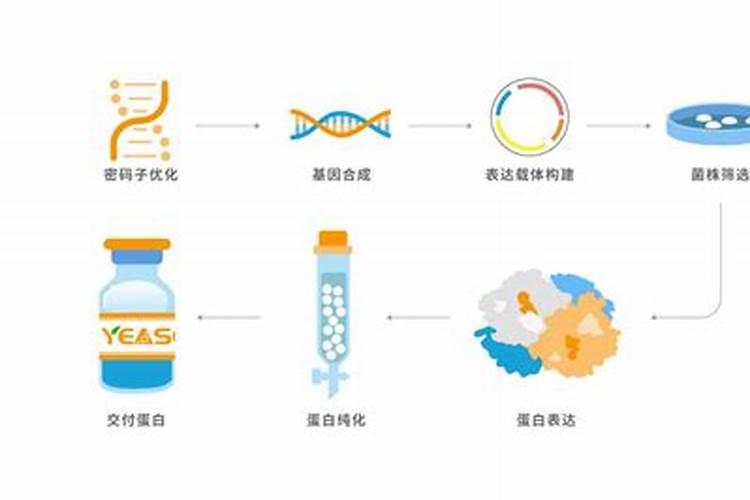 酱油水浇绿萝可以吗