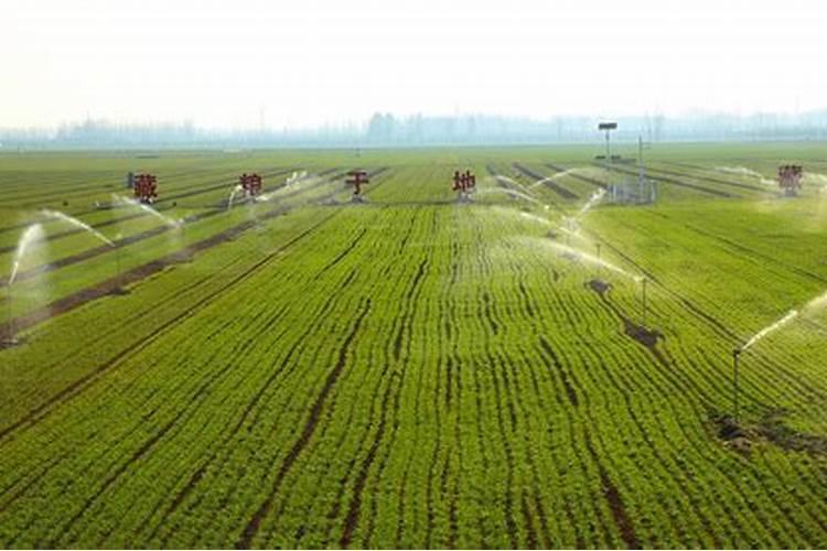 沙土地怎么改良土壤