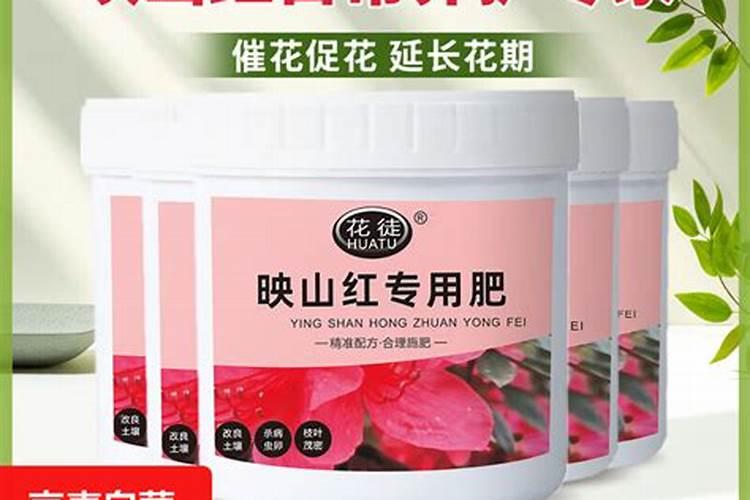 映山红能不能施肥