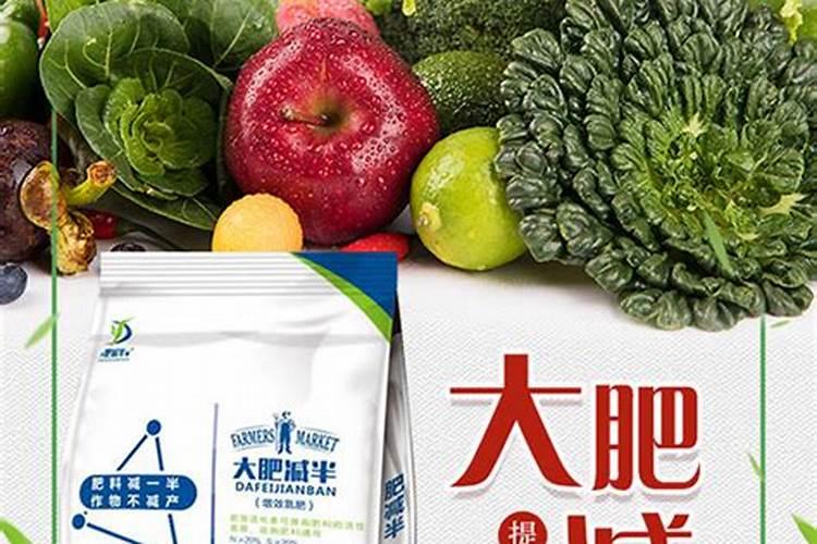 豆科植物为什么能肥田