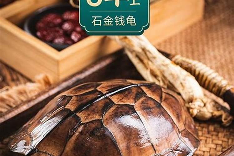 昆明适合养什么花 昆明适合种植什么花卉
