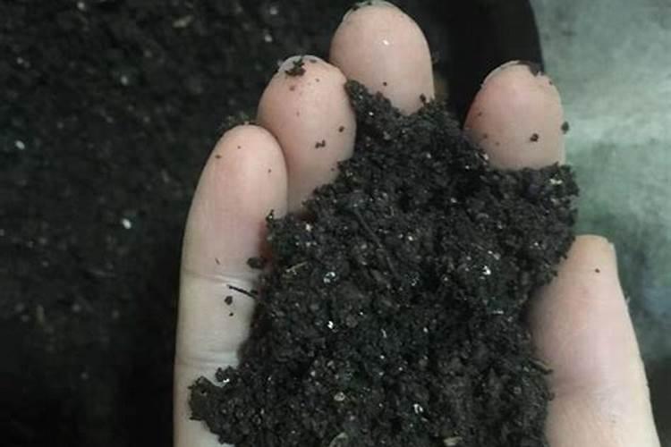 种菜用什么肥料最好