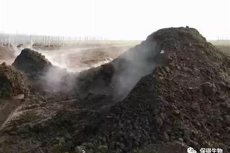 雅斯诺水溶肥怎么样好用吗