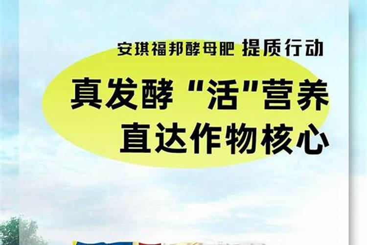 兰花喷叶面肥和浇水需要注意些什么