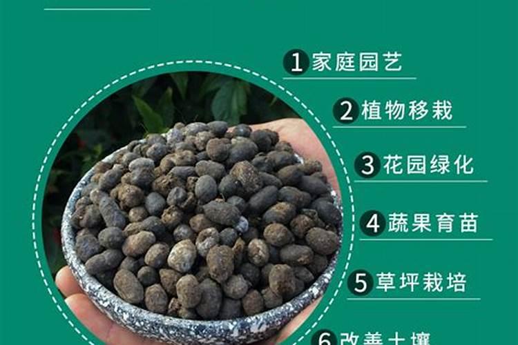 花卉专用肥都有哪些