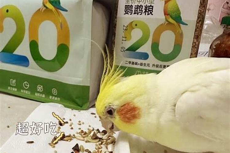 两只两三个月大的玄凤吃一片土霉素过量么？