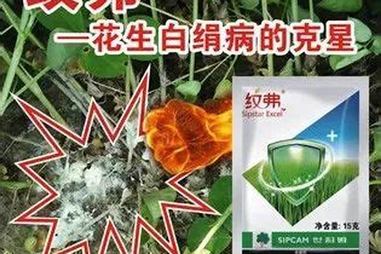 桂花施肥过多或者农药中毒怎么办