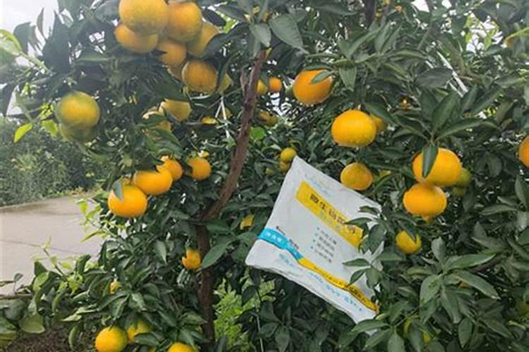种植水稻,施用氮肥过多了有什么后果？水稻施用氮肥的技术