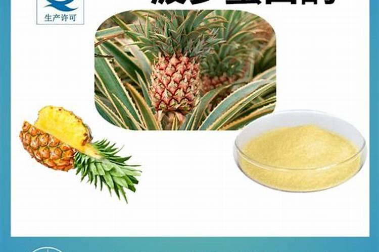 自制鱼蛋白有氨气怎么办呢