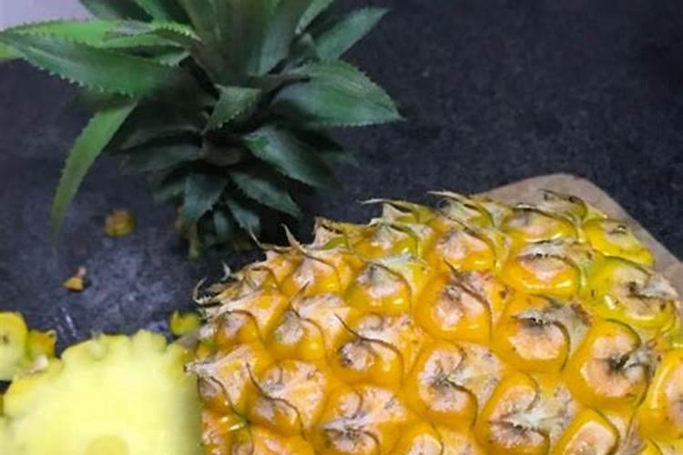菠萝皮发酵后的用途