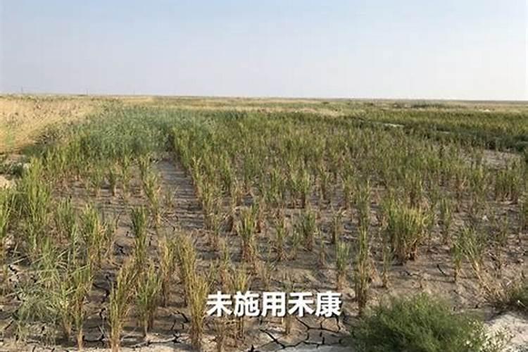 复合肥可以作为花肥施用吗？