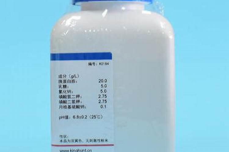 胨怎么读