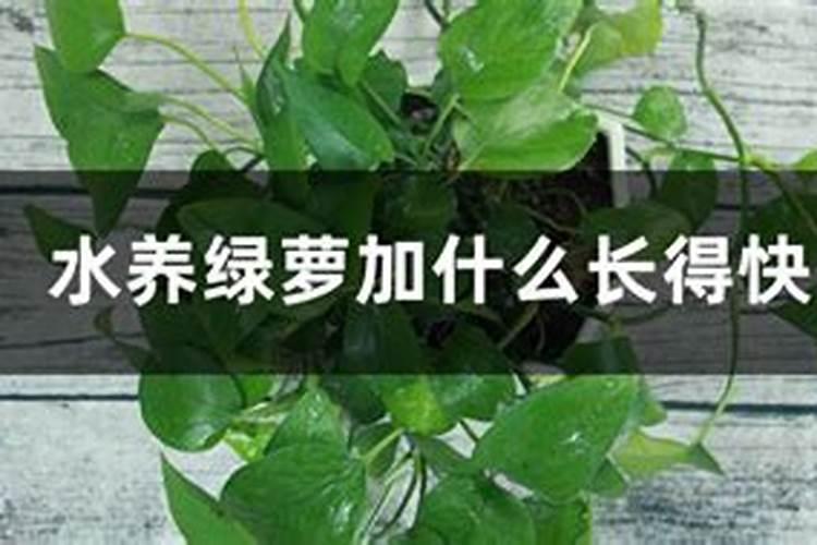 南通农科院怎么样