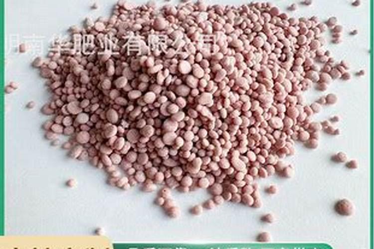 高压繁殖多久生根