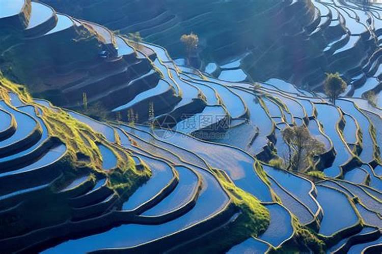 如何鉴别氮肥、钾肥、磷肥？