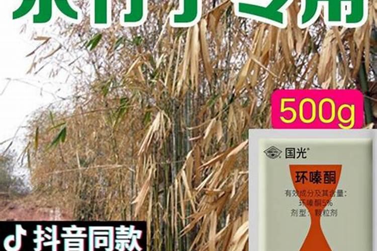 富贵竹施肥方法 用什么肥好