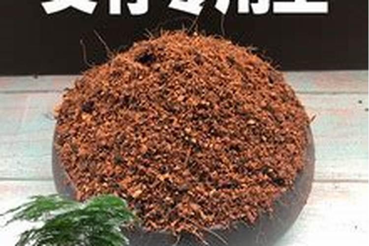 家里养的竹子用什么肥料最好