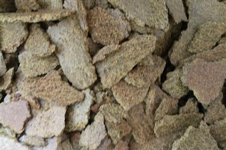 苹果树底肥采取哪种施肥方法好