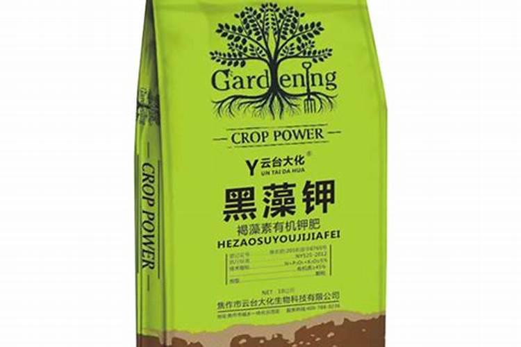 生物菌肥有没有肥效