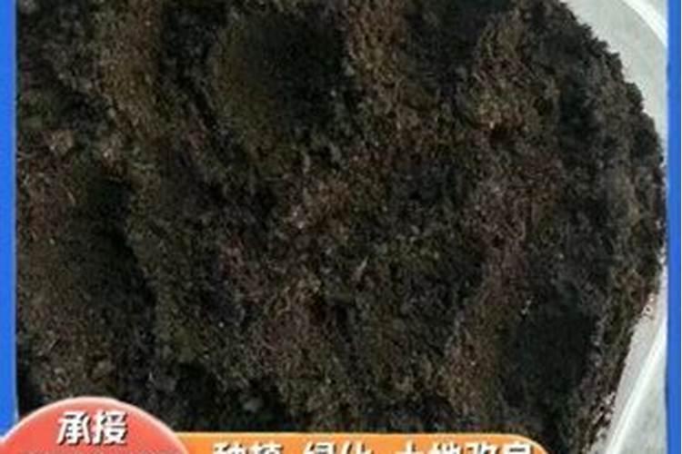 牡丹怎么施肥(地栽牡丹施肥时间和方法是怎么样的？)