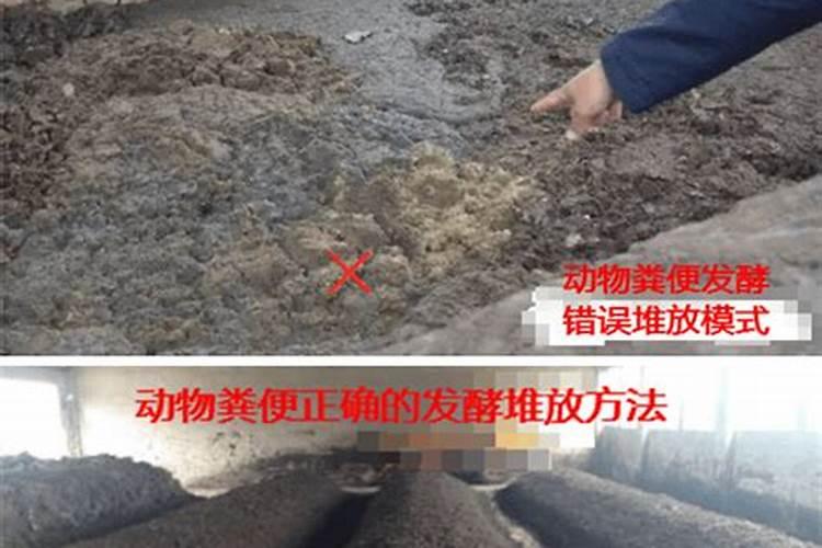 硝酸钾和硫酸钾哪个膨大好