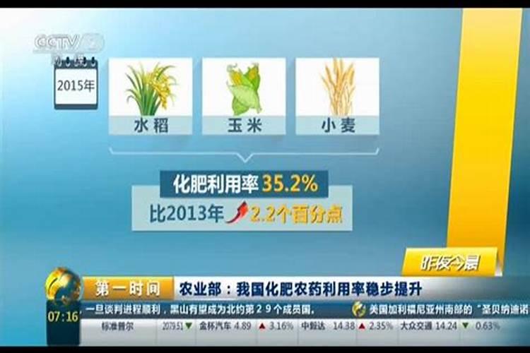 进入初伏天月季花会休眠吗？月季在冬天休眠期需要阳光吗