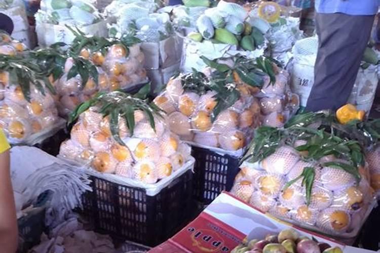 芭芭农场多少肥料可以种完一棵树