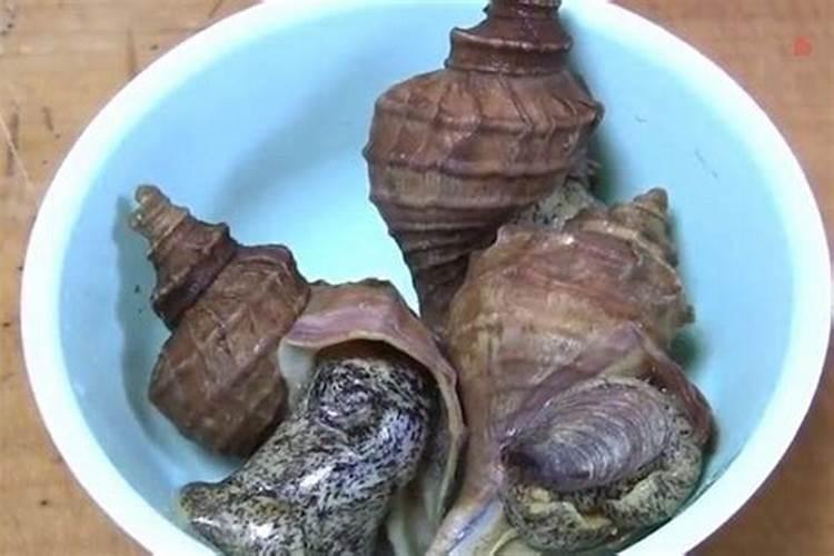 像这样种花不花一分钱不为种花而省吃俭用