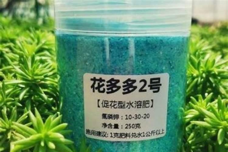 花多多10号肥料怎么用(养什么花用花多多10肥料好)