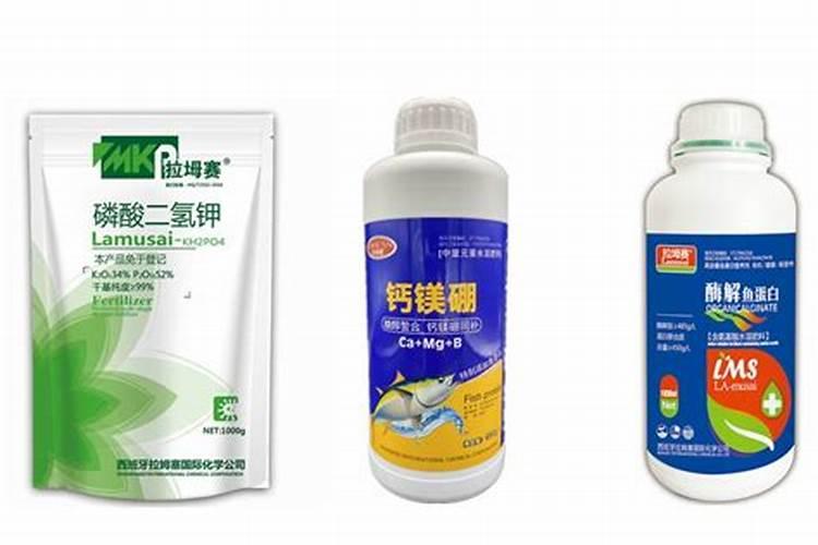 茶叶采摘时可以用鱼蛋白加磷酸二氢钾防冻呢