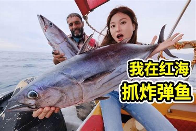 一斤鲈鱼蛋白质有多少哪位大神知道