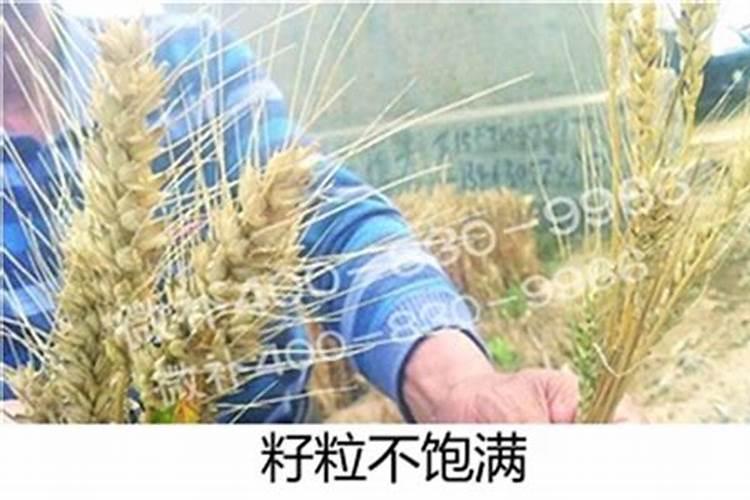 钾肥是酸性还是碱性